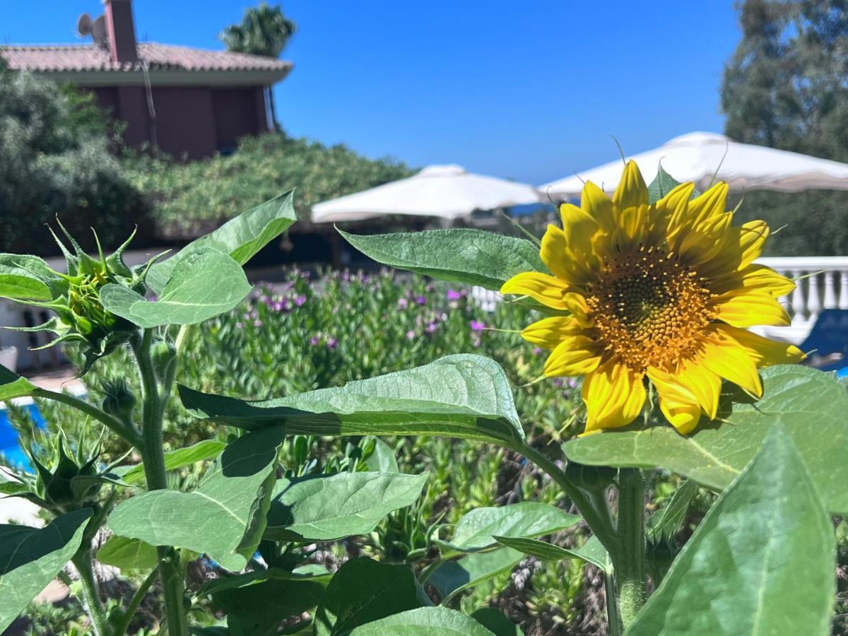 B&B Villa Michieli Marbella Eksteriør billede